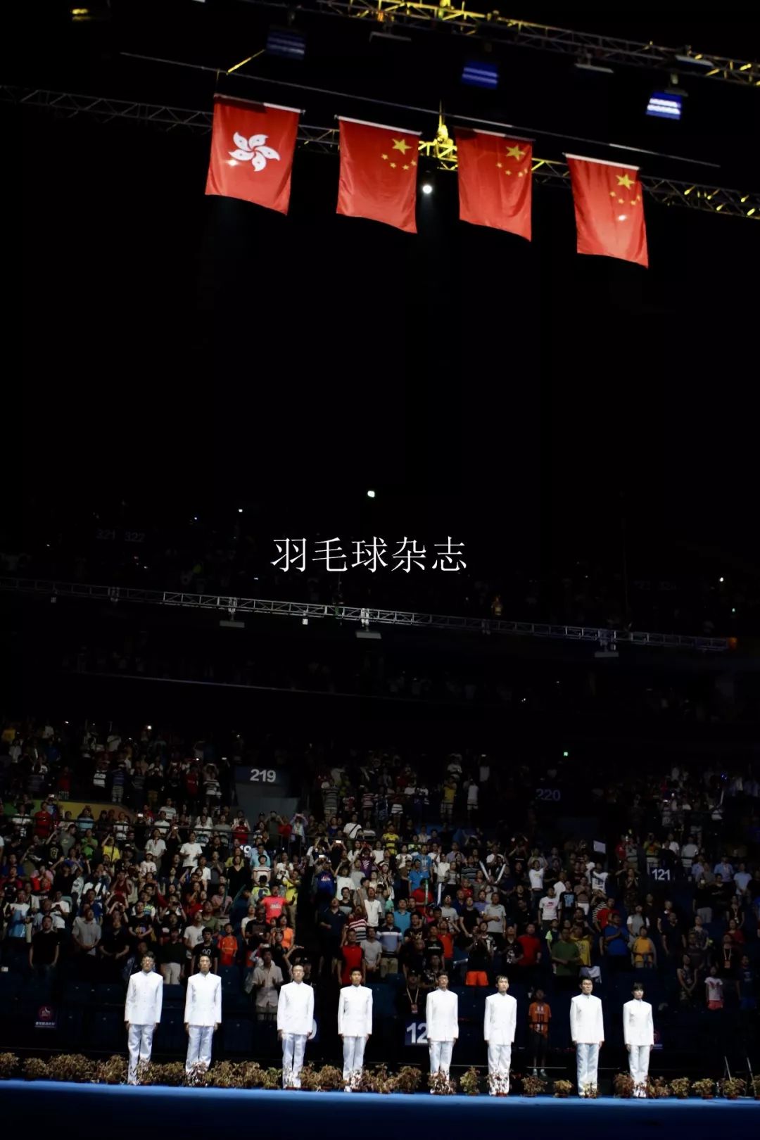 德国队横扫印尼队，郑思维点燃赛场的简单介绍