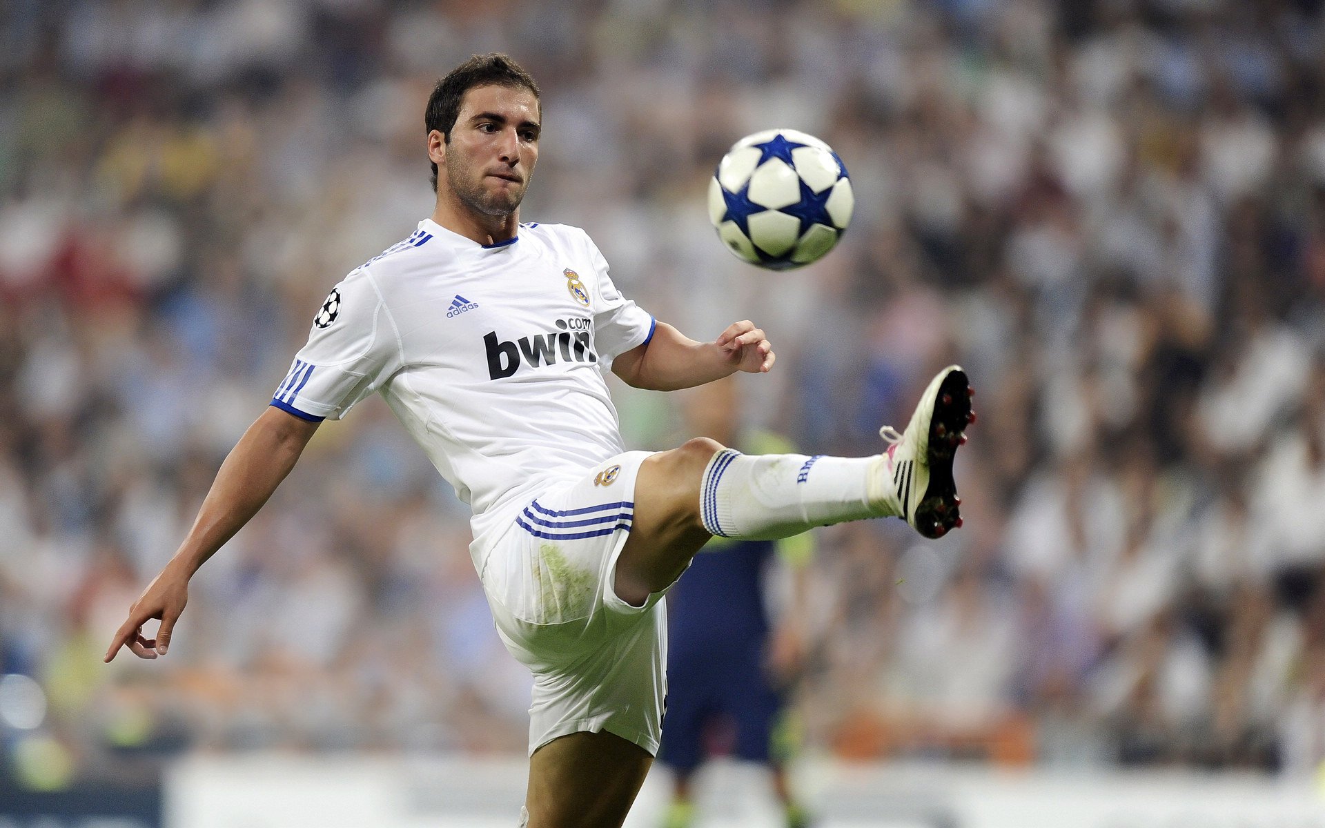 沙漠之狐的优雅猎杀，阿尔及利亚轻取韩国，美加墨世界杯的战术启示