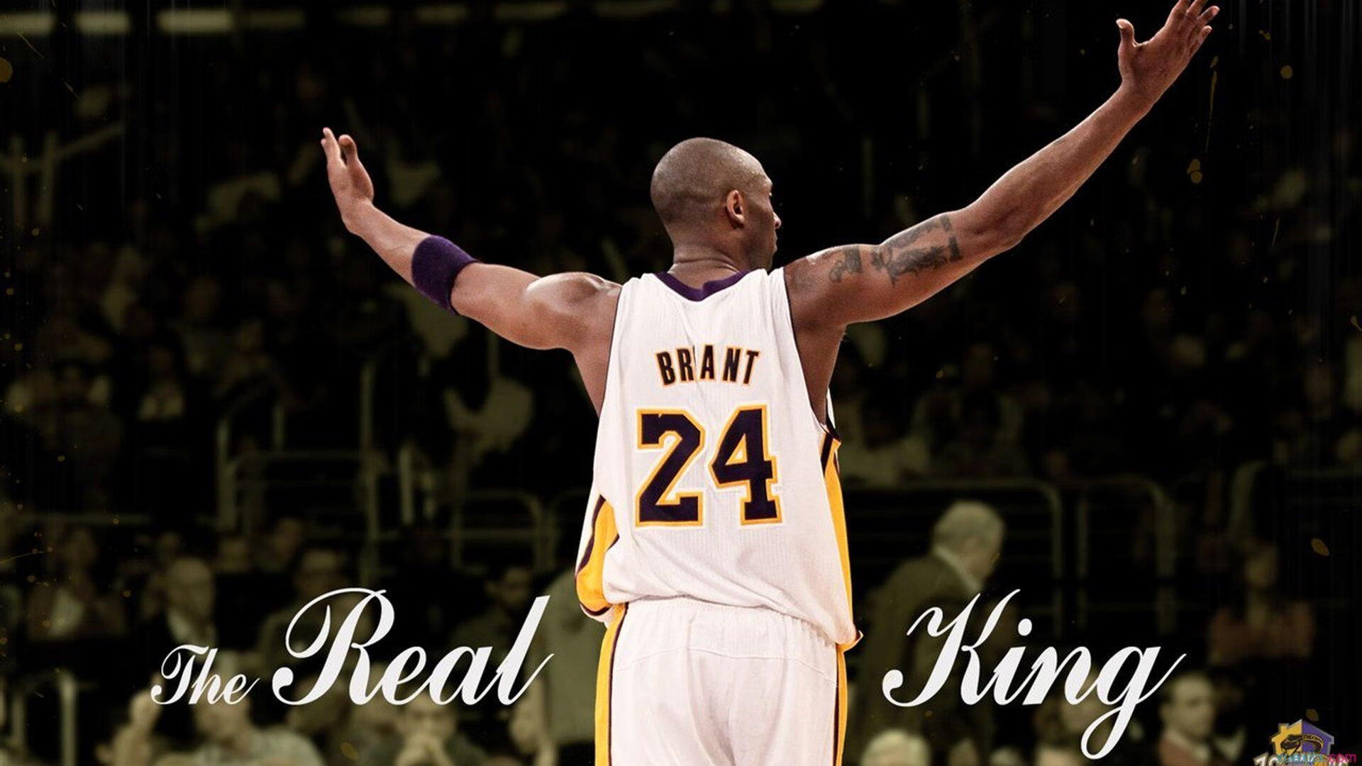 许昕一板定乾坤！中国队绝杀葡萄牙，赛场瞬间点燃